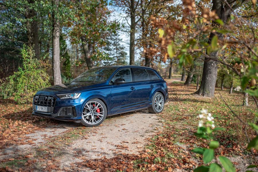  Audi SQ7 TDI (4M) 2019 года  (WW) (фото 20 из 40)